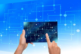 开云-中国篮球青训体系教练员能力评估与发展规划，篮球教练员素养