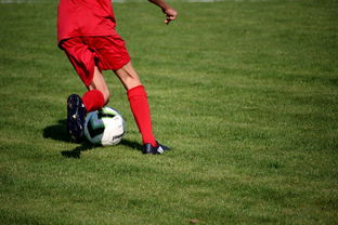 开云电竞登录-中超球员年度技术评分标准体系，中超球员技术统计